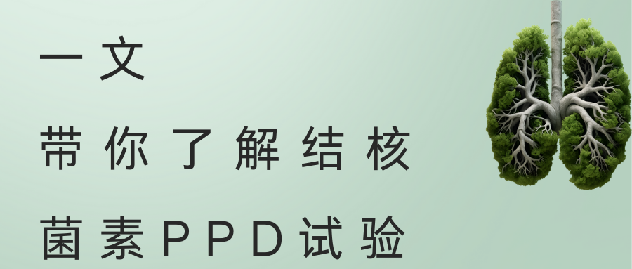 һģ˽˾PPD 